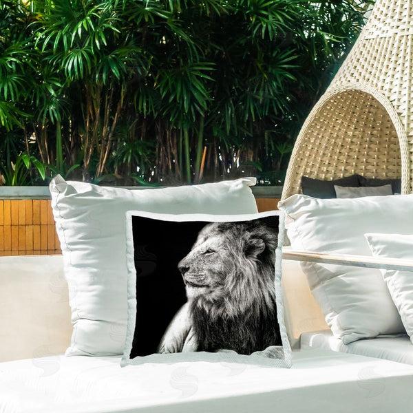 Stupell Industries Shelley Lake | Lion Portrait On Black Printed Throw Pillow