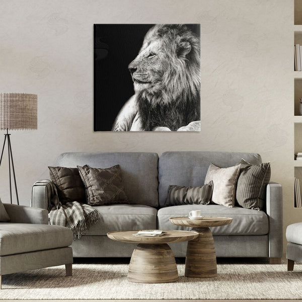 Stupell Industries Shelley Lake | Lion Portrait On Black Wall Art