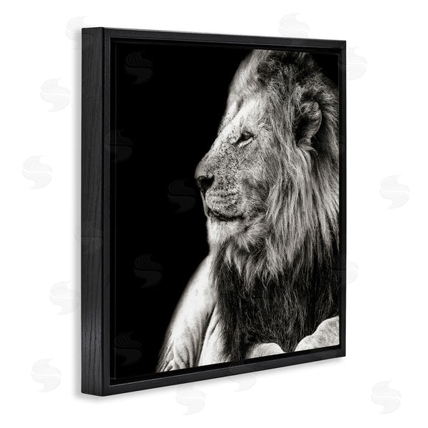 Stupell Industries Shelley Lake | Lion Portrait On Black Wall Art