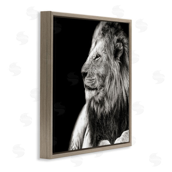 Stupell Industries Shelley Lake | Lion Portrait On Black Wall Art