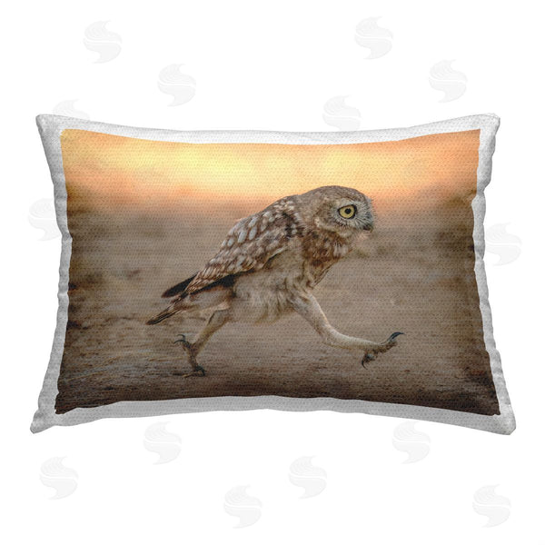 Stupell Industries Shuli Greenstein | Running Owl At Sunset
