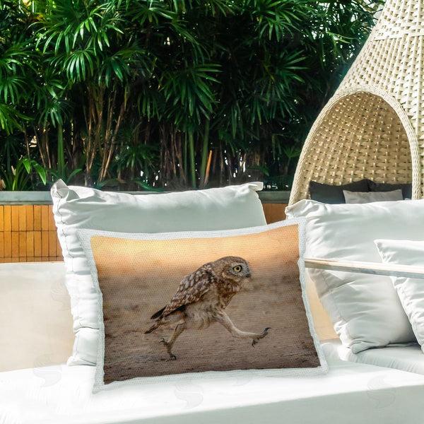 Stupell Industries Shuli Greenstein | Running Owl At Sunset