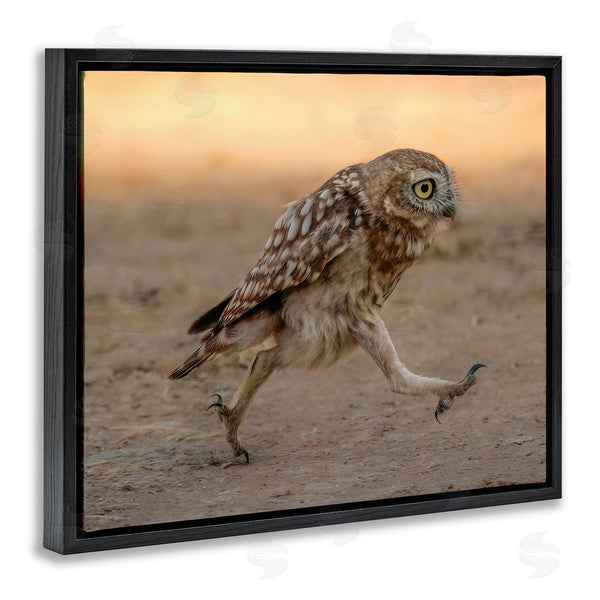Stupell Industries Shuli Greenstein | Rushing Little Owl Wall Art
