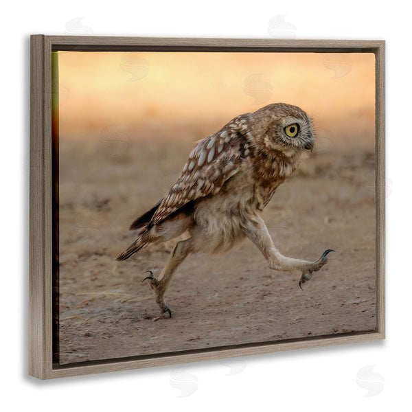 Stupell Industries Shuli Greenstein | Rushing Little Owl Wall Art