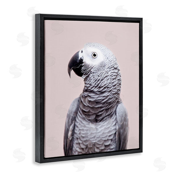 Stupell Industries Sisi And Seb | African Grey Parrot Portrait Wall Art