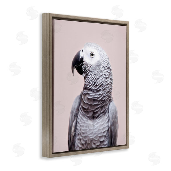 Stupell Industries Sisi And Seb | African Grey Parrot Portrait Wall Art