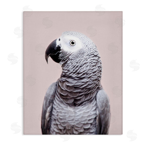 stupell industries Sisi and Seb | African Grey Parrot Portrait Wall Art