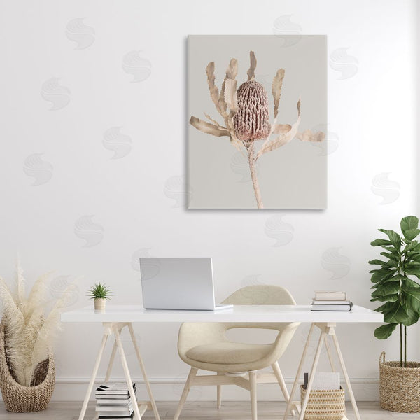 Stupell Industries Sisi And Seb | Australian Banksia Botanical Wall Art