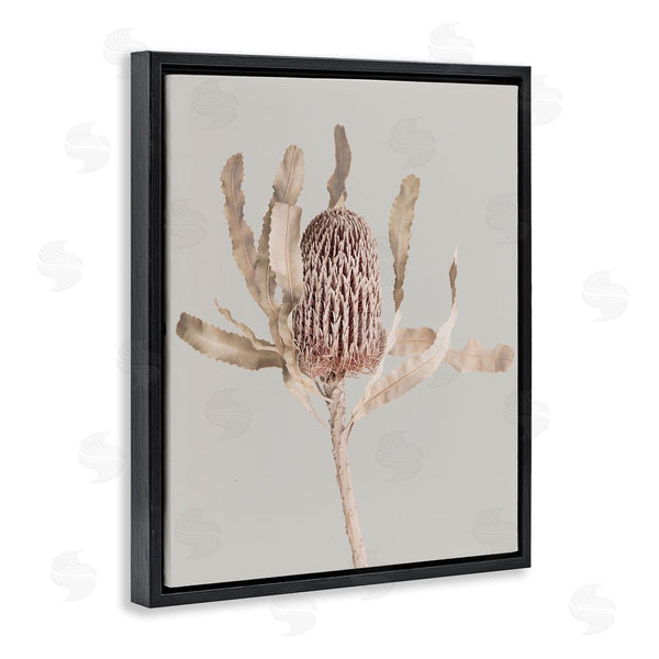 Stupell Industries Sisi And Seb | Australian Banksia Botanical Wall Art