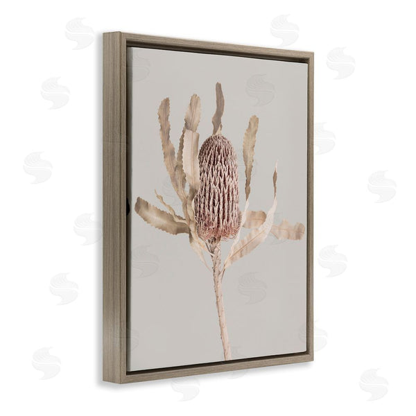 Stupell Industries Sisi And Seb | Australian Banksia Botanical Wall Art