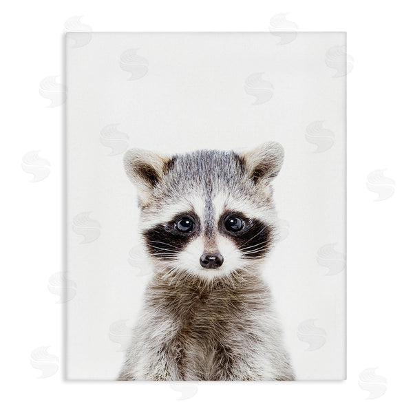 stupell industries Sisi and Seb | Baby Raccoon Portrait Wall Art