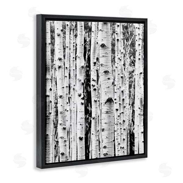 Stupell Industries Sisi And Seb | Birch Trees Forest Wall Art