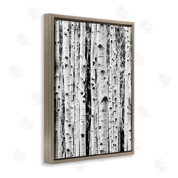 Stupell Industries Sisi And Seb | Birch Trees Forest Wall Art