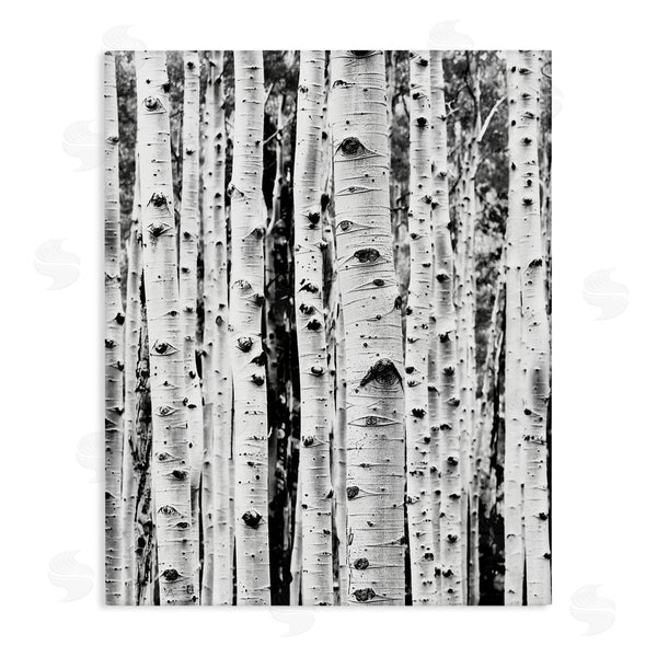 stupell industries Sisi and Seb | Birch Trees Forest Wall Art
