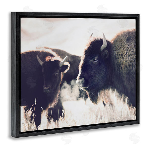 Stupell Industries Sisi And Seb | Bison Gazing In Nature Wall Art