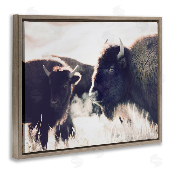Stupell Industries Sisi And Seb | Bison Gazing In Nature Wall Art
