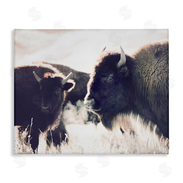 stupell industries Sisi and Seb | Bison Gazing in Nature Wall Art