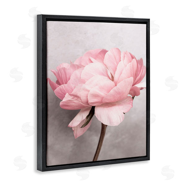 Stupell Industries Sisi And Seb | Blooming Vintage Peony Wall Art