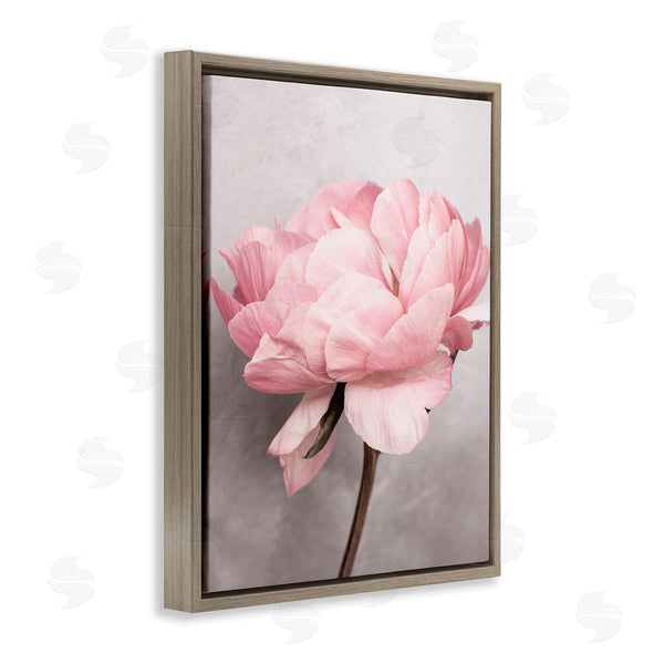 Stupell Industries Sisi And Seb | Blooming Vintage Peony Wall Art