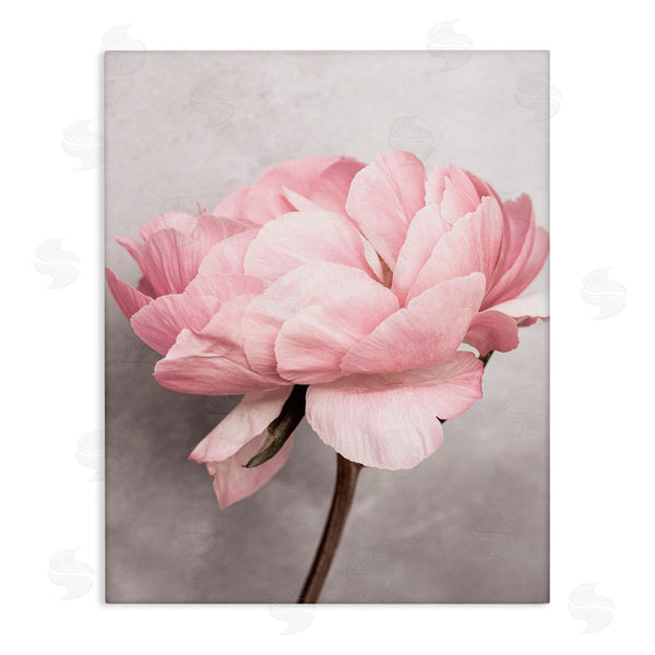 stupell industries Sisi and Seb | Blooming Vintage Peony Wall Art