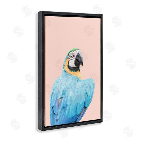 Stupell Industries Sisi And Seb | Blue Ara Macaw Wall Art