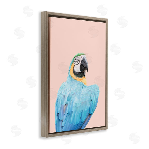 Stupell Industries Sisi And Seb | Blue Ara Macaw Wall Art