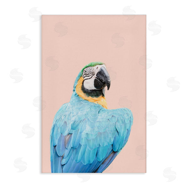 stupell industries Sisi and Seb | Blue Ara Macaw Wall Art