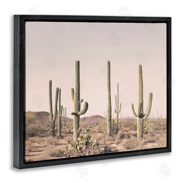 Stupell Industries Sisi And Seb | Blush Cactus Field Wall Art