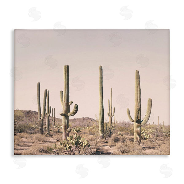 stupell industries Sisi and Seb | Blush Cactus Field Wall Art