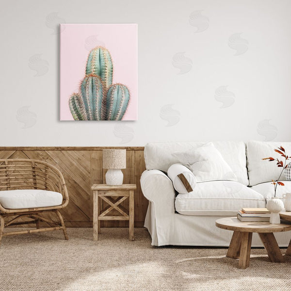 Stupell Industries Sisi And Seb | Blush Cactus Vegetation Wall Art