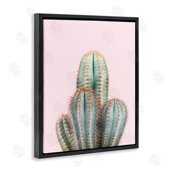 Stupell Industries Sisi And Seb | Blush Cactus Vegetation Wall Art