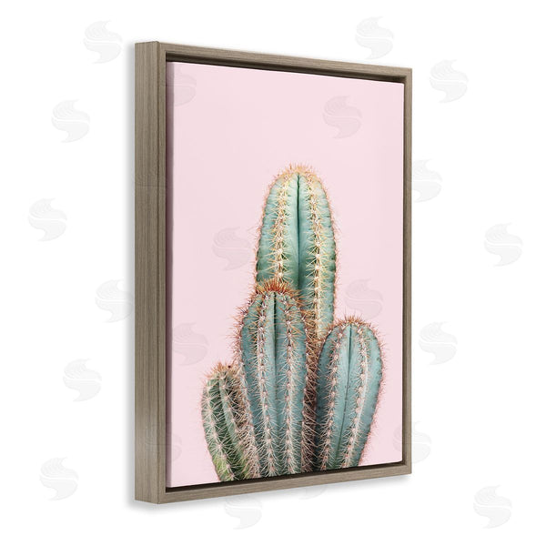 Stupell Industries Sisi And Seb | Blush Cactus Vegetation Wall Art