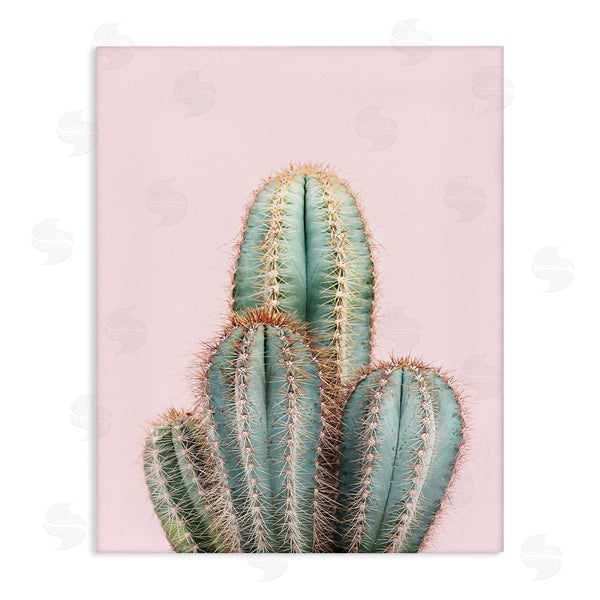 stupell industries Sisi and Seb | Blush Cactus Vegetation Wall Art