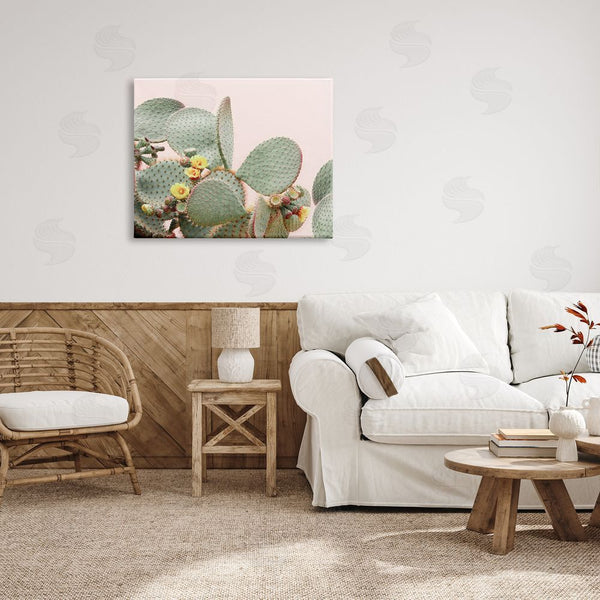 Stupell Industries Sisi And Seb | Cactus Flowers On Pink Wall Art