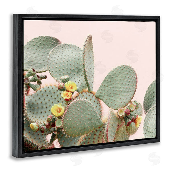 Stupell Industries Sisi And Seb | Cactus Flowers On Pink Wall Art