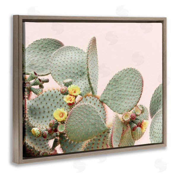 Stupell Industries Sisi And Seb | Cactus Flowers On Pink Wall Art