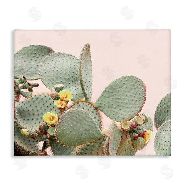 stupell industries Sisi and Seb | Cactus Flowers on Pink Wall Art