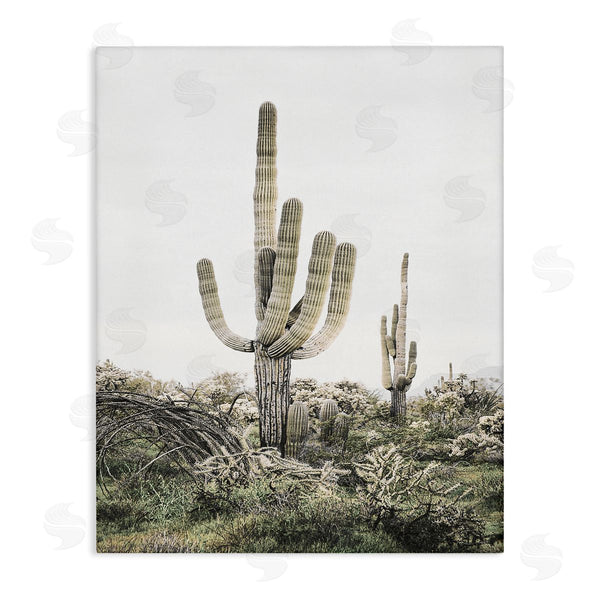stupell industries Sisi and Seb | Desert Landscape Cacti Wall Art