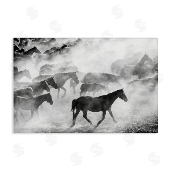 stupell industries Sisi and Seb | Dusty Road Horse Photograph Wall Art