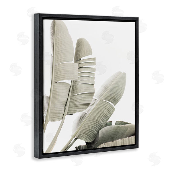 Stupell Industries Sisi And Seb | Fanning Banana Leaves Wall Art