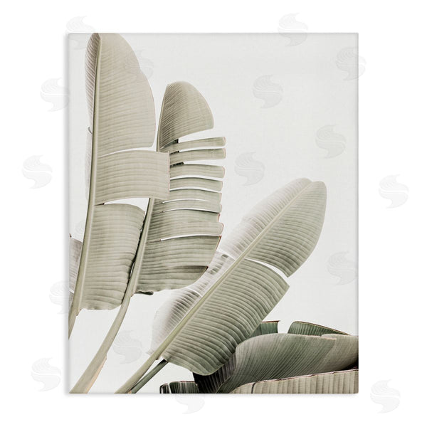 stupell industries Sisi and Seb | Fanning Banana Leaves Wall Art