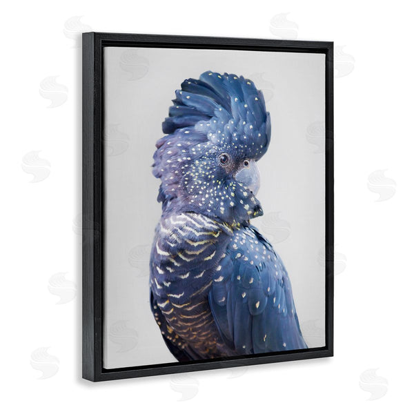 Stupell Industries Sisi And Seb | Grey Cockatoo Portrait Wall Art