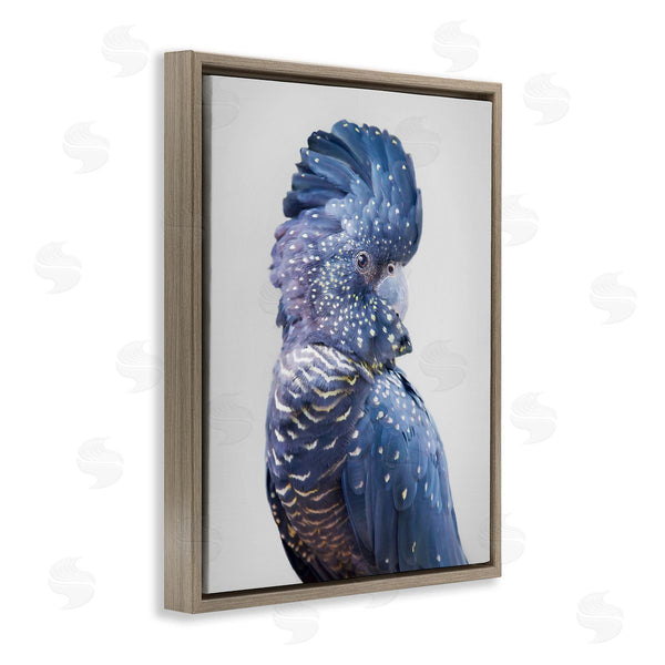 Stupell Industries Sisi And Seb | Grey Cockatoo Portrait Wall Art