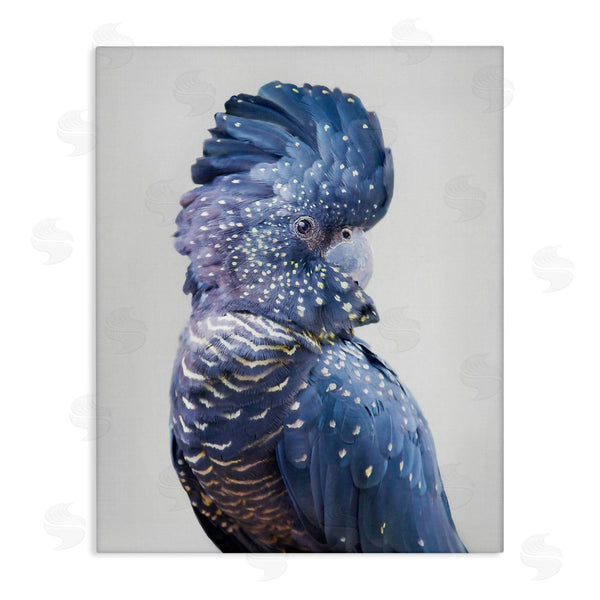 stupell industries Sisi and Seb | Grey Cockatoo Portrait Wall Art