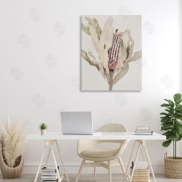 Stupell Industries Sisi And Seb | Hidden Banksia Botanical Fronds Wall Art
