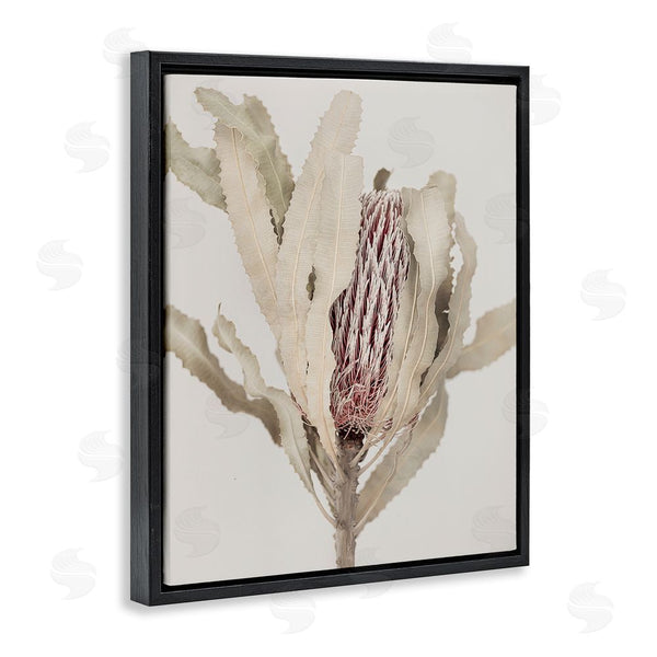Stupell Industries Sisi And Seb | Hidden Banksia Botanical Fronds Wall Art