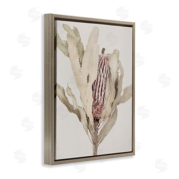Stupell Industries Sisi And Seb | Hidden Banksia Botanical Fronds Wall Art