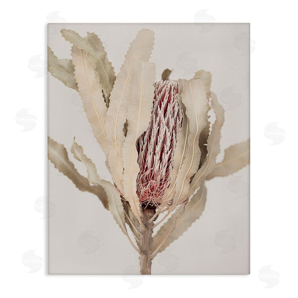 stupell industries Sisi and Seb | Hidden Banksia Botanical Fronds Wall Art