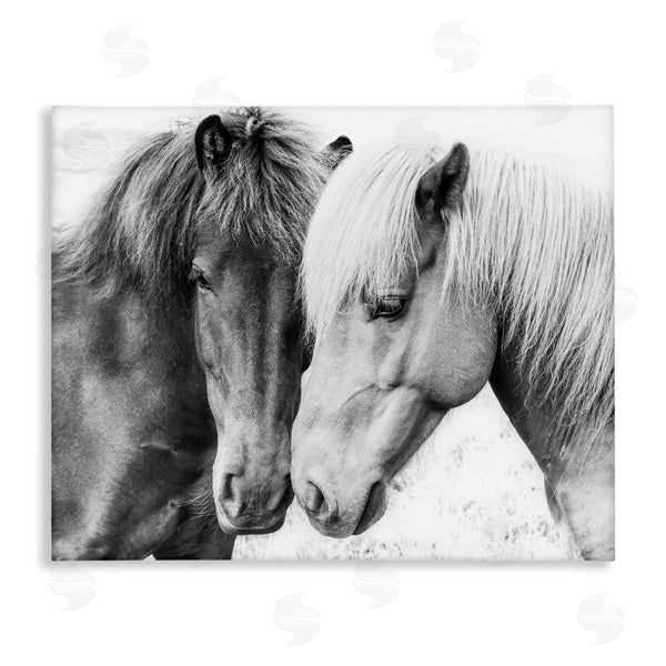 stupell industries Sisi and Seb | Horse Love Duo Portrait