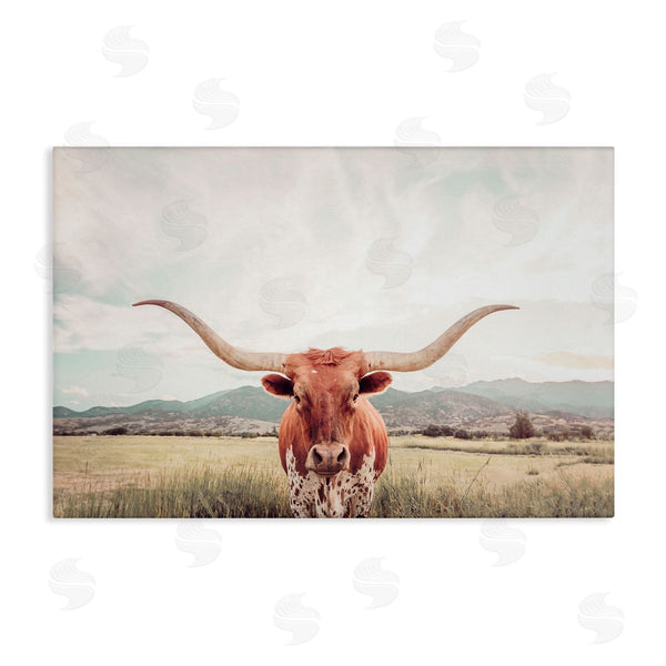 stupell industries Sisi and Seb | Longhorn Portrait Open Meadow Wall Art